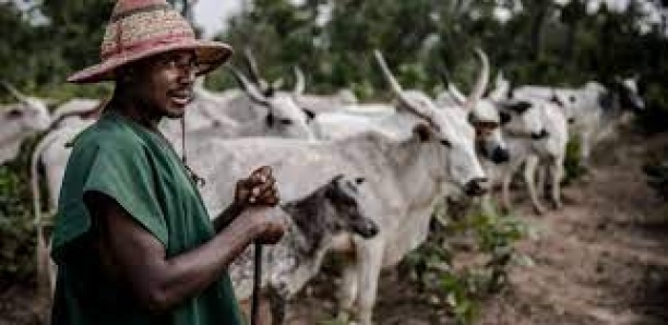 le village de Keur Ndiaye Sam réclame un poste de gendarmerie