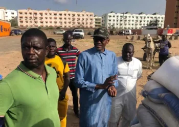 Maristes : Habib Niang invite les charretiers à ne pas suivre l’opposition dans son voeu de « brûler le pays »